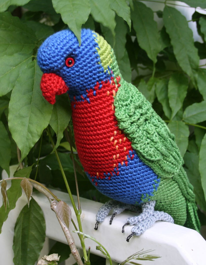 Amigurumi Rainbow Lorikeet crochet pattern, PDF English, Deutsch, Nederlands image 6