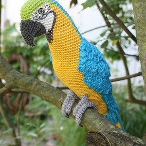 Amigurumi Blue-and-Yellow Macaw/Parrot crochet pattern, PDF Deutsch, English, Nederlands, Español, Français, Italiano image 5