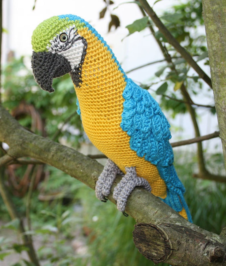 Amigurumi Blue-and-Yellow Macaw/Parrot crochet pattern, PDF Deutsch, English, Nederlands, Español, Français, Italiano image 5