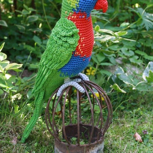 Amigurumi Rainbow Lorikeet crochet pattern, PDF English, Deutsch, Nederlands image 3