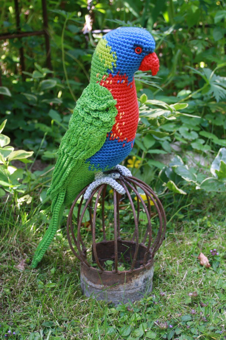 Amigurumi Rainbow Lorikeet crochet pattern, PDF English, Deutsch, Nederlands image 3