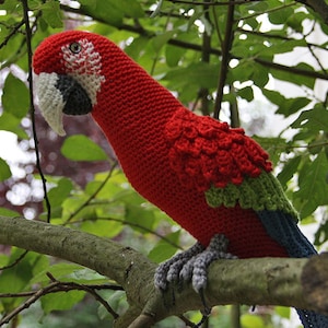 Amigurumi Red-and-Green Macaw/Parrot crochet pattern, PDF Deutsch, English, Español, Français, Nederlands, Italiano image 4