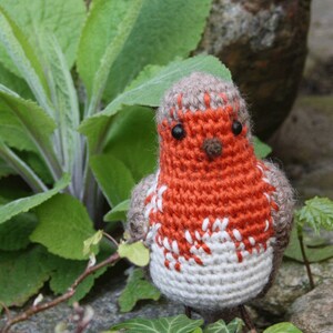 Amigurumi bird ROBIN crochet pattern, PDF in English, Deutsch image 5