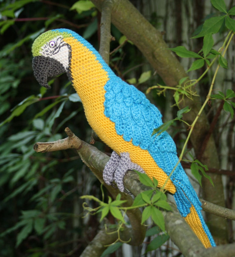 Amigurumi Blue-and-Yellow Macaw/Parrot crochet pattern, PDF Deutsch, English, Nederlands, Español, Français, Italiano image 4