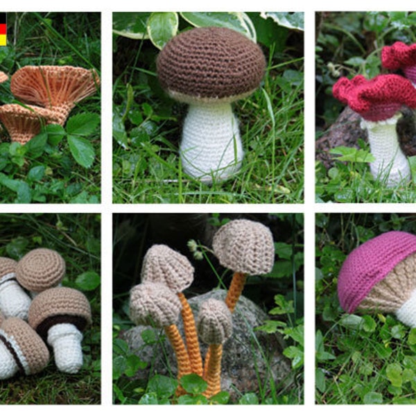 Mushroom - Vol. 1-6 (Champignons, Chanterelle, Mycena, Bloody Brittlegill, King Bolete, Rosy Spike Cap) - crochet pattern, PDF in English
