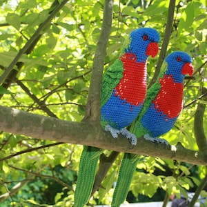 Amigurumi Rainbow Lorikeet crochet pattern, PDF English, Deutsch, Nederlands image 5