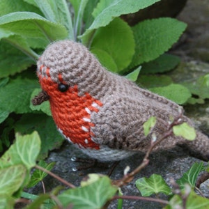 Amigurumi bird ROBIN crochet pattern, PDF in English, Deutsch image 3