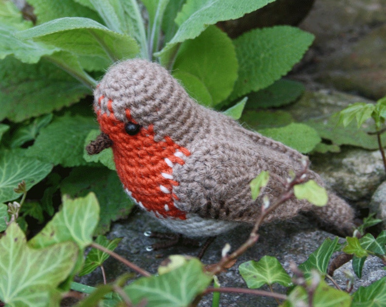 Amigurumi bird ROBIN crochet pattern, PDF in English, Deutsch image 3