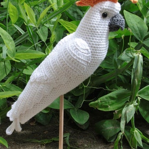 Amigurumi WHITE COCKATOO crochet pattern, PDF in English, Deutsch, Nederlands image 5