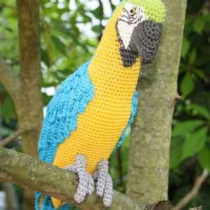 Amigurumi Blue-and-Yellow Macaw/Parrot crochet pattern, PDF Deutsch, English, Nederlands, Español, Français, Italiano image 3