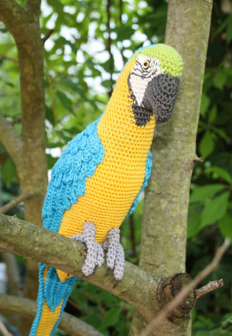 Amigurumi Blue-and-Yellow Macaw/Parrot crochet pattern, PDF Deutsch, English, Nederlands, Español, Français, Italiano image 3