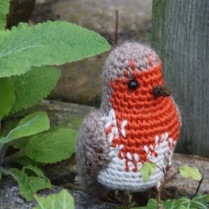 Amigurumi bird ROBIN crochet pattern, PDF in English, Deutsch image 4