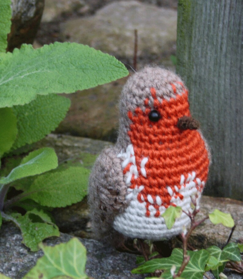 Amigurumi bird ROBIN crochet pattern, PDF in English, Deutsch image 4