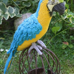 Amigurumi Blue-and-Yellow Macaw/Parrot crochet pattern, PDF Deutsch, English, Nederlands, Español, Français, Italiano image 6