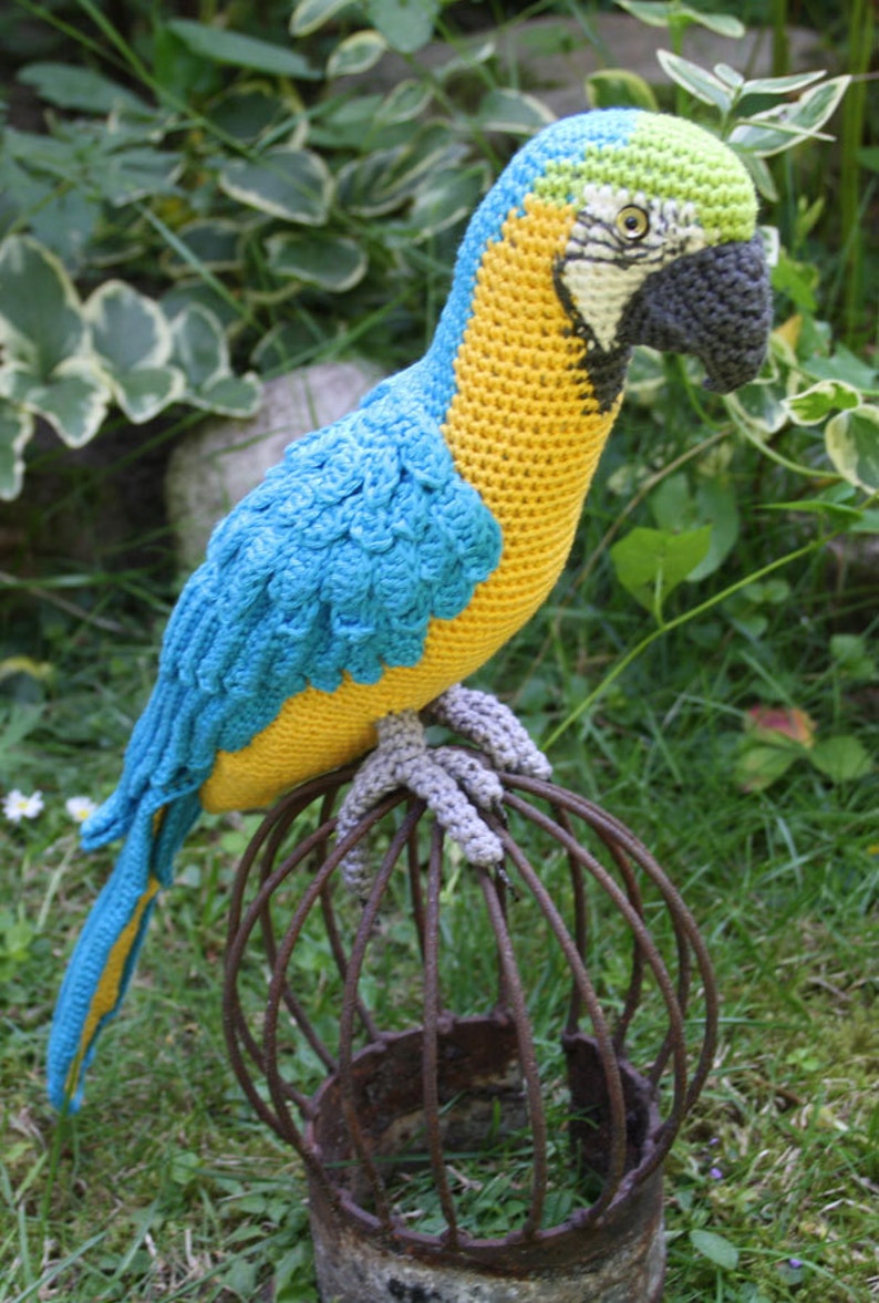 Amigurumi Blue-and-Yellow Macaw/Parrot crochet pattern, PDF Deutsch, English, Nederlands, Español, Français, Italiano image 6