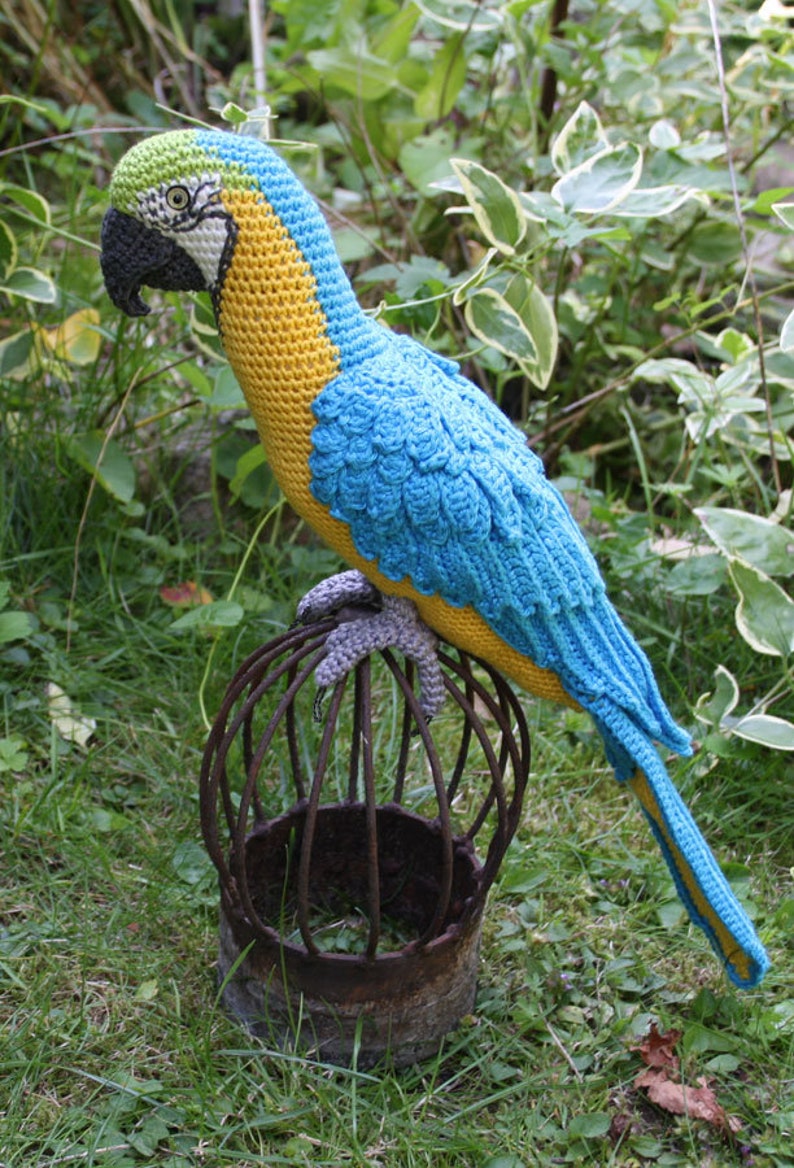 Amigurumi Blue-and-Yellow Macaw/Parrot crochet pattern, PDF Deutsch, English, Nederlands, Español, Français, Italiano image 7