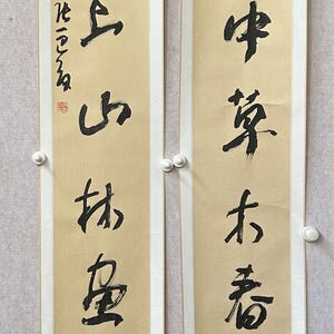 Coppia di rotoli di calligrafia cinese manoscritti – "La tela selvaggia della natura" – Poesia da giardino a doppio pannello (23)
