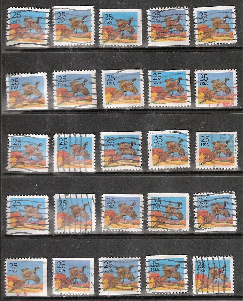 25 PHEASANT Used & Canceled Vintage U.S. Bird Postage Stamps Pheasant in flight For Craft Use image 1