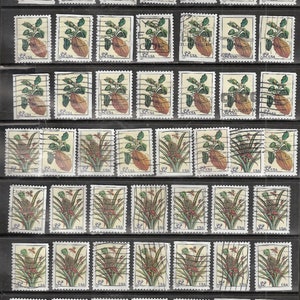 50 sellos postales usados de MERIAN BOTANICAL Estados Unidos (25 juegos de 2) Piña en flor y cidra *Para uso artesanal
