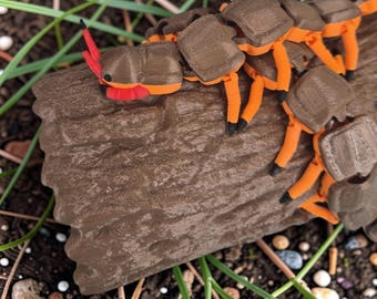19 inch lange Flexy Amazon Centipede - scharnierende duizendpoot