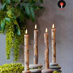 May include: Four birch-style candles with flickering LED flames. The candles are set on small, gray stones, and the background features green foliage. The candles have a natural, textured appearance, and the flames emit a warm, inviting glow.