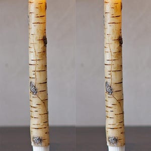Rustic Birch & Bark Flameless Candles – Realistic LED Taper Candles Woodland Home Decor, Cozy Cabin Fireplace Lights 2-Pack (Manual ）