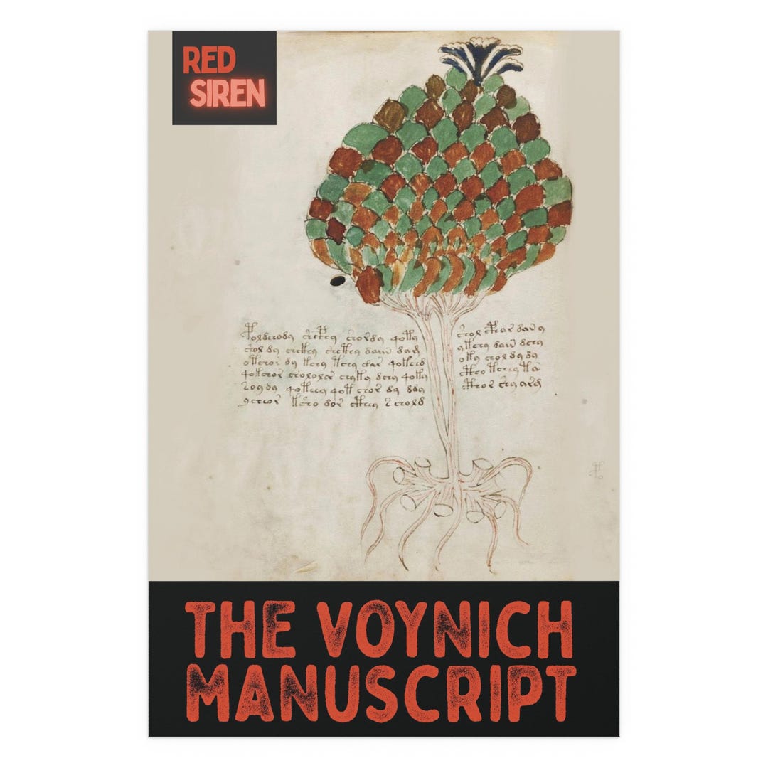 Silk Poster, Voynich Manuscript, Vintage Wall Art, Unique Decor ...