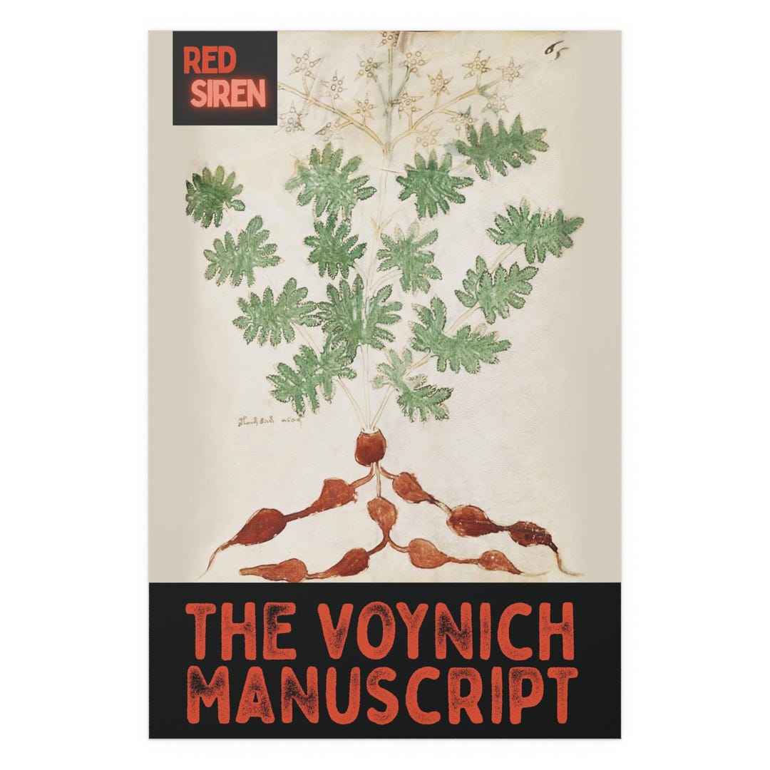 Silk Poster, Voynich Manuscript, Vintage Wall Art, Unique Decor ...