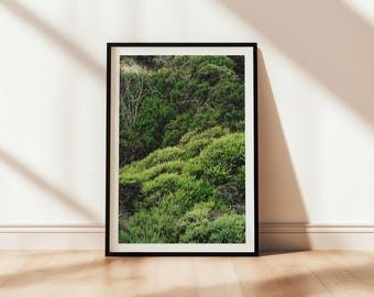 Point Lobos Coastal Art Print: Monterey Bay Nature Photography