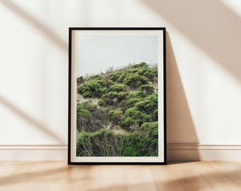 Point Lobos California Hills Art Print - Coastal Landscape Poster & Canvas Print