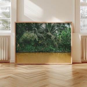 パナマ熱帯雨林の川のアートプリント：緑豊かな熱帯の風景