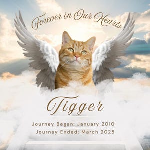 Plantilla para publicación en Instagram conmemorativa de mascotas: 4 fondos, tarjeta de homenaje para redes sociales, anuncio de pérdida de mascota
