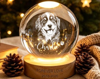 Personalized Pet Memorial Night Light, Pet Portrait Crystal Ball Night Light, Photo Crystal Light, Pet Loss, Pet Memorial Gift for Dog, Cat