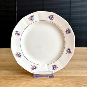 Digoin Sarreguemines France Lunch Plate or Breakfast Plate– Antique Faience (1930 - 1950)