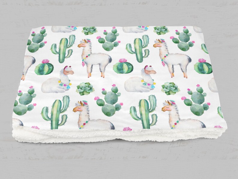 cactus minky blanket