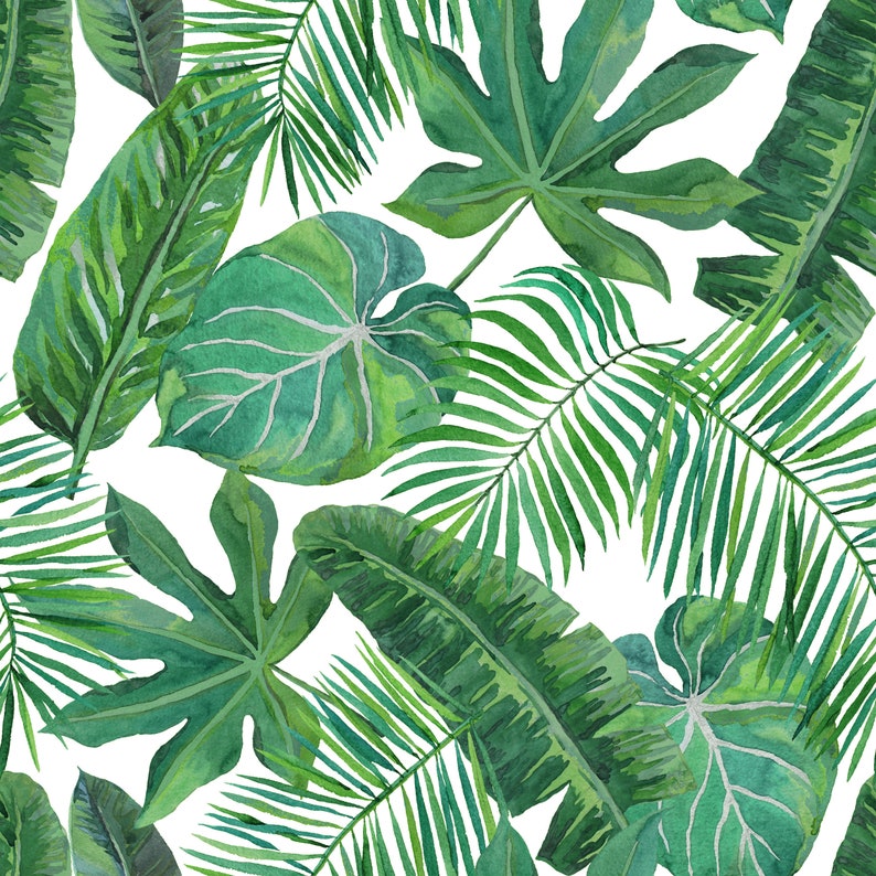 Removable Wallpaper Tropical Palm Leaf Banana Leaf Safari - Etsy