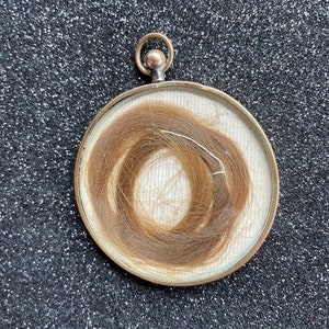 Victorian Hair Miniature