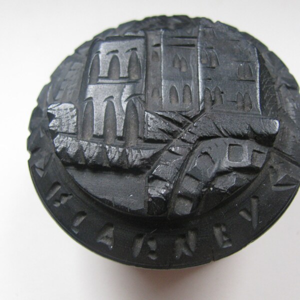 Victorian Bog Oak Trinket Box Blarney Castle