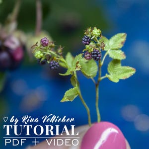 May include: Close-up of a miniature blackberry plant with green leaves and clusters of purple and green berries. The image includes the text "Tutorial PDF + Video" and the name "by Rina Vellichor".