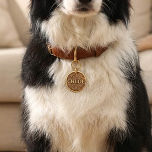 May include: A brown leather dog collar featuring a round, gold-toned metal tag. The tag is engraved with a floral pattern and the name CHLOE in capital letters. The collar is worn around the neck of a black and white dog with long fur.
