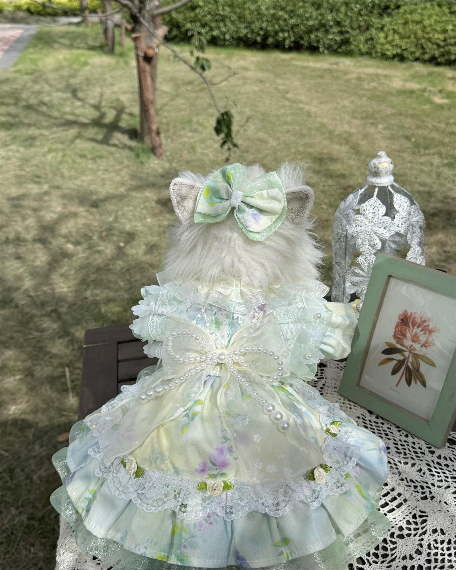 Mint Green Dog Dress - Etsy Israel