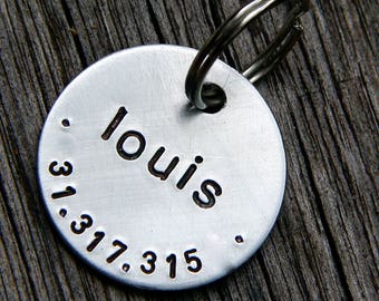 Custom Pet Tag, Personalized Dog ID Tag, Metal Dog Tag for Dogs, Pet Tag - Louis, in 1" Brushed Aluminum