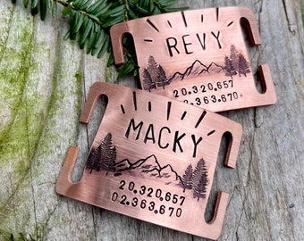 Custom Silent Slide On Dog Tag - 1" Biothane, Leather Collar Quiet Slide Tag. Dog Tag with Mountains - Hand Stamped Tag with Name Address
