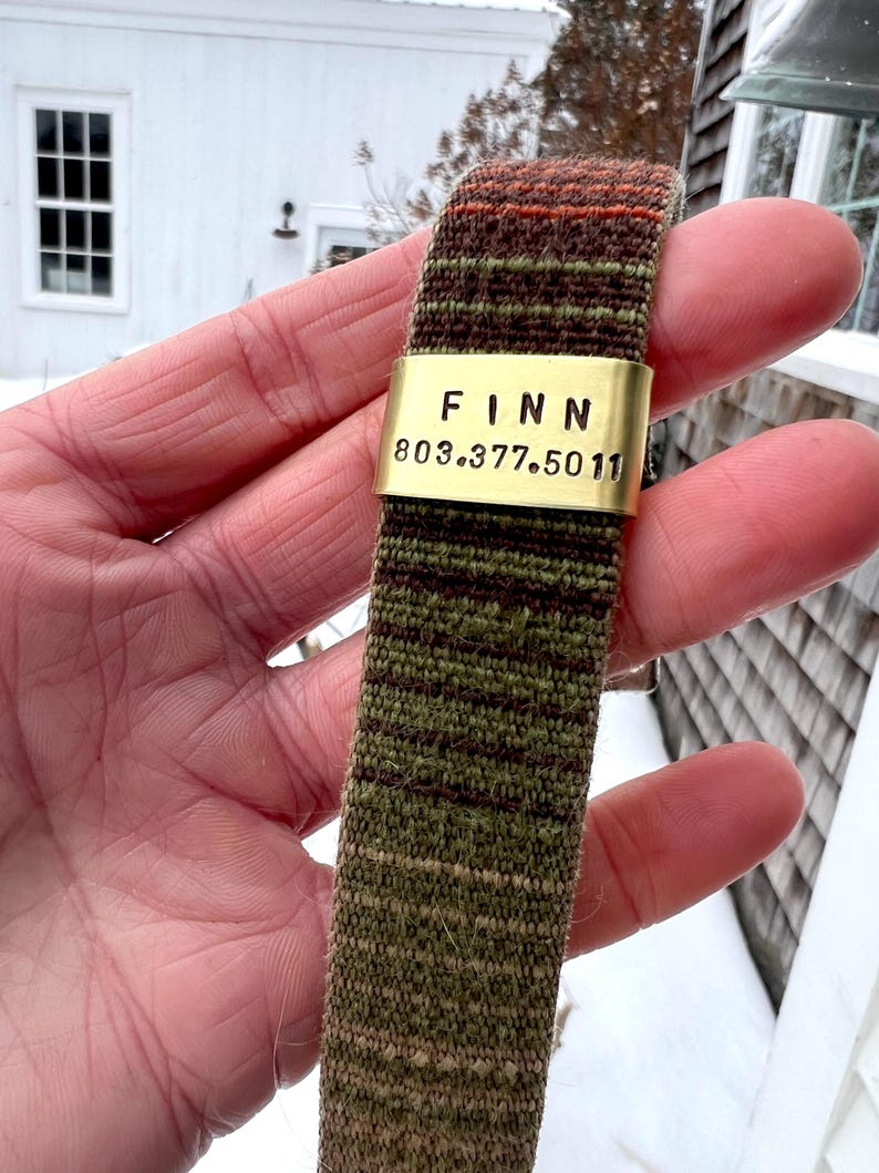 May include: A woven dog collar with a brass nameplate. The collar is mainly olive green with brown and orange stripes. The nameplate reads "FINN" and a phone number.