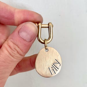 Op de afbeelding: Een goudkleurige dierenpenning met de naam "Lilly" in een stijlvol lettertype gegraveerd. De penning is ovaal van vorm en bevestigd aan een goudkleurige sluiting.