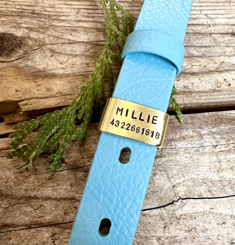 Custom Brass Slide On Dog Tag for Collar, Personalized Metal Pet ID, Minimalist Silent No Dangle Dog Name Tag, Quiet Hunting Dog Collar Gear image 2