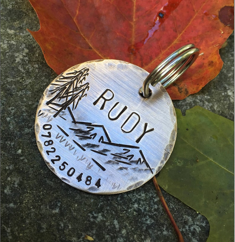 Personalized PetDog Tag Custom Mountain Dog Tag Engraved Dog Tag Dog Collar Tag