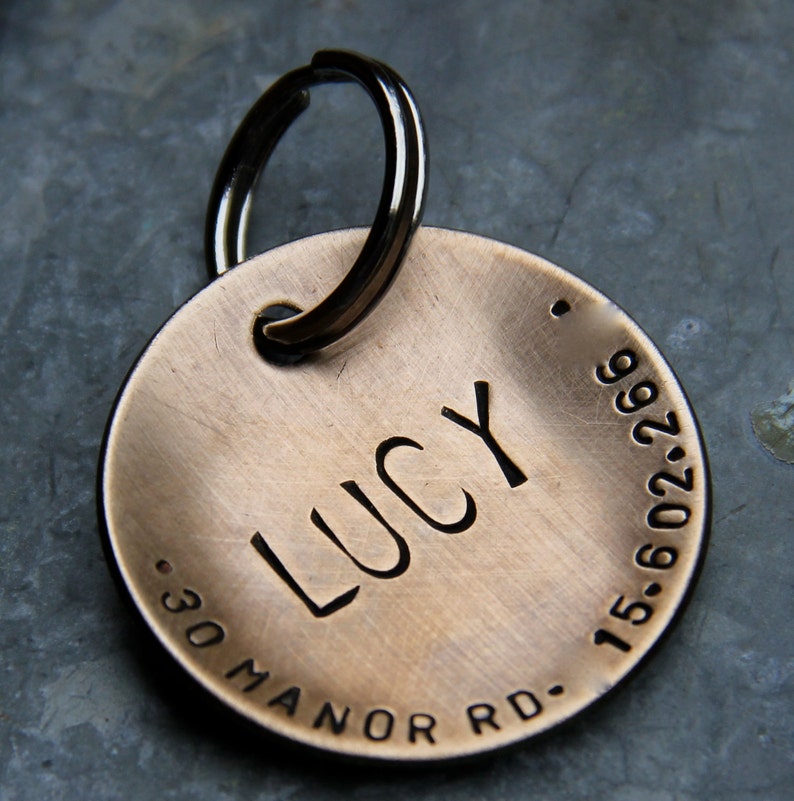 Custom Dog Tag / Custom Pet ID Tag Lucy in 1.25'' Domed Bronze, Aluminum, Copper or Brass image 6