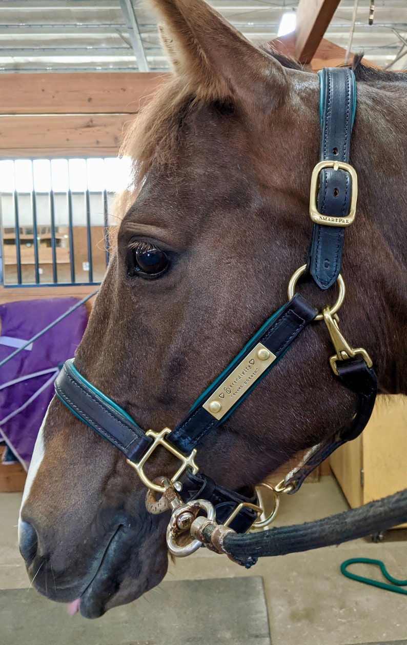 Custom Halter Name Plate Personalized Horse Name Plate in Etsy