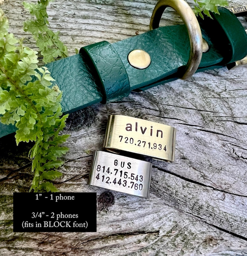 Custom Brass Slide On Dog Tag for Collar, Personalized Metal Pet ID, Minimalist Silent No Dangle Dog Name Tag, Quiet Hunting Dog Collar Gear image 4